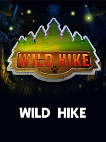 Các chiến thuật chơi Poker Việt Nam hiệu quả nhất hiện nay